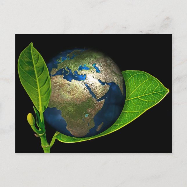 CARTÃO POSTAL A TERRA É NASCER (Frente)