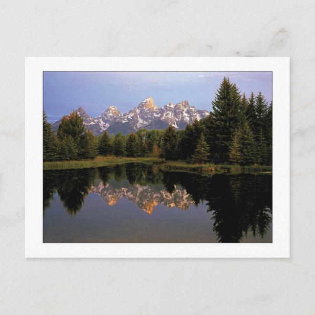 Cartão Postal "A Teton Morning" (Frente)