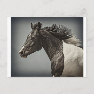 Cartão Postal A Tinta