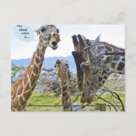 Cartão Postal A última notícia é o cartão-postal