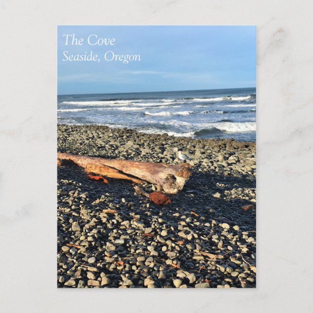 Cartão Postal A Vaca em Seaside, Oregon (Frente)