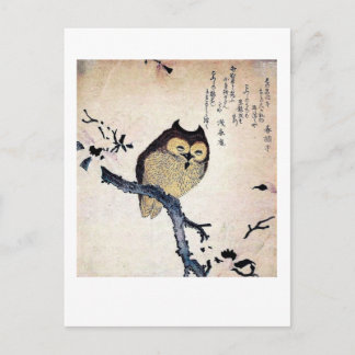 Cartão Postal A velha coruja