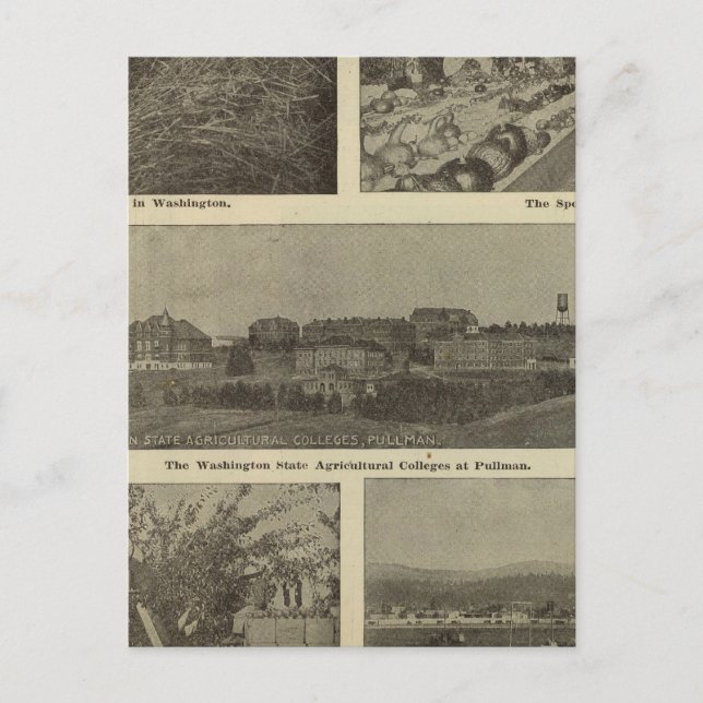 Cartão Postal A versátil brecha de Washington (Frente)