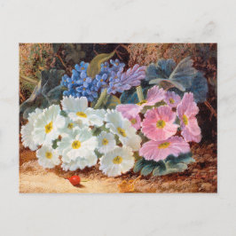 Cartão Postal A vida das flores Oliver Clare 1853 - 1927