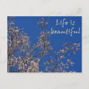 Cartão Postal A vida é bela
