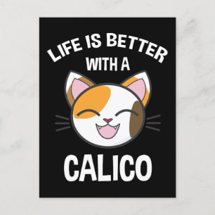 Cartão Postal A Vida É Melhor Com Um Calico