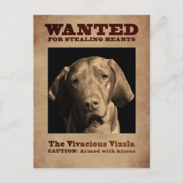 Cartão Postal A Vivaciosa Vizsla