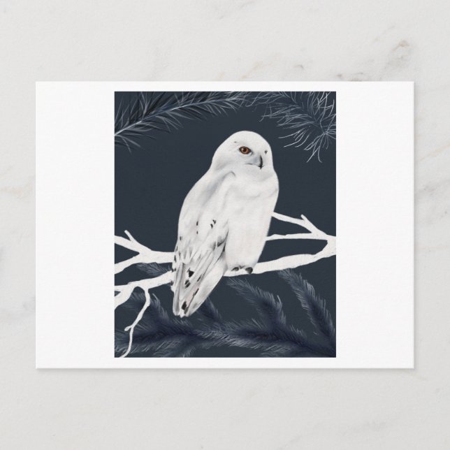 Cartão Postal A white winter owl perches on a branch (Frente)