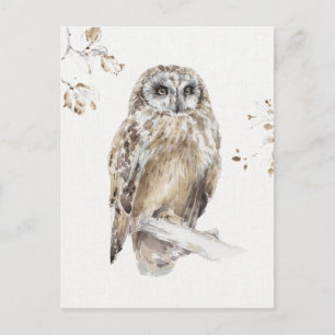 Cartão Postal A Woodland Walk VIII