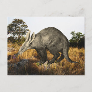 Cartão Postal Aardvark