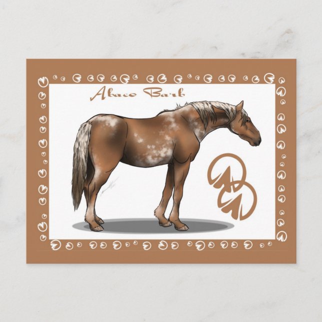 Cartão Postal Abaco Barb (Frente)