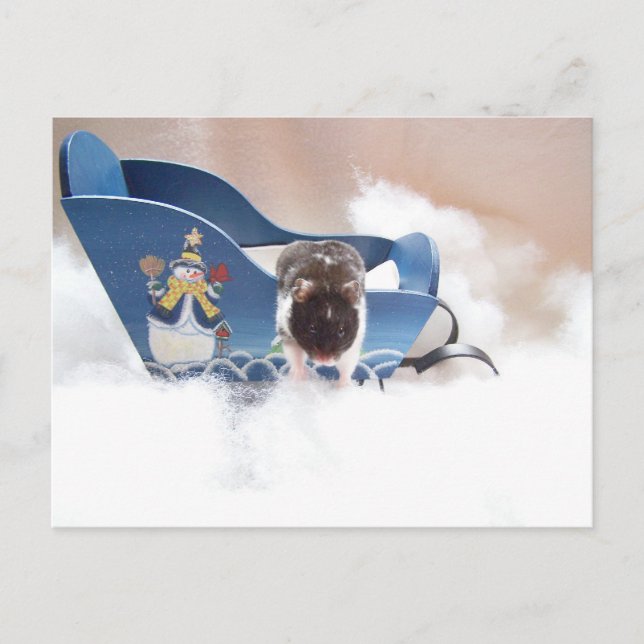 Cartão Postal abandone o trenó! (Frente)