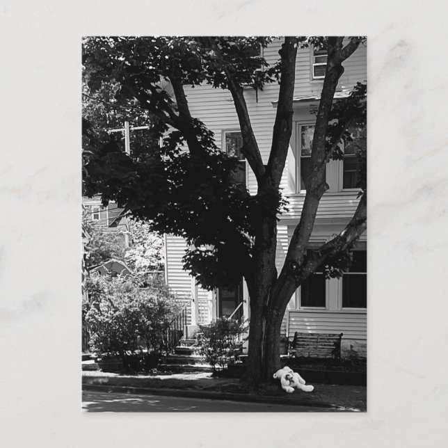 Cartão Postal Abandoned Stuffed Teddy Bear Under Tree Postcard (Frente)