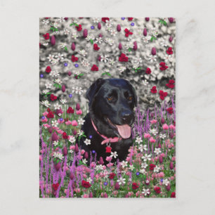 Cartão Postal Abby in Flowers - Black Lab Dog