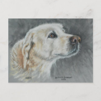 Cartão Postal Abby, um verdadeiro amigo.