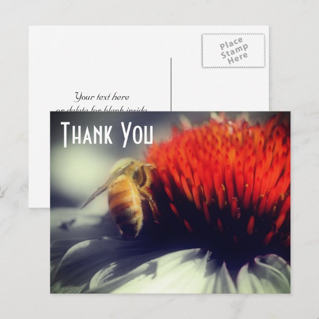Cartão Postal Abeelha Na Flor Cor Parcial Obrigado (Frente/Verso)