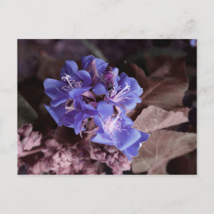 Cartão Postal abelha em flores azuis coloridas roxas
