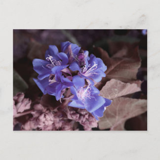 Cartão Postal abelha em flores azuis coloridas roxas