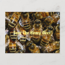 Cartão Postal Abelhas De Mel Na Colmeia