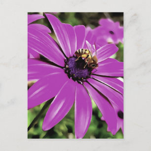 Cartão Postal Abelhas De Mel Numa Arte Daisy Africana Roxa