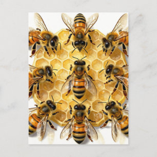 Cartão Postal Abelhas em Círculo de Mel Hexagonal