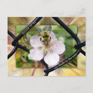 Cartão Postal Abençoado é aquele que confia no LORD