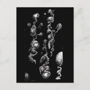 Cartão Postal Aberrações orgânicas flutuantes