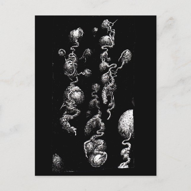 Cartão Postal Aberrações orgânicas flutuantes (Frente)