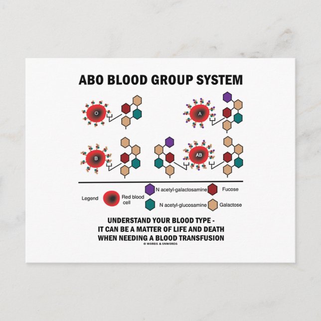 Cartão Postal ABO Blood Group System Entender Tipo de Sangue (Frente)