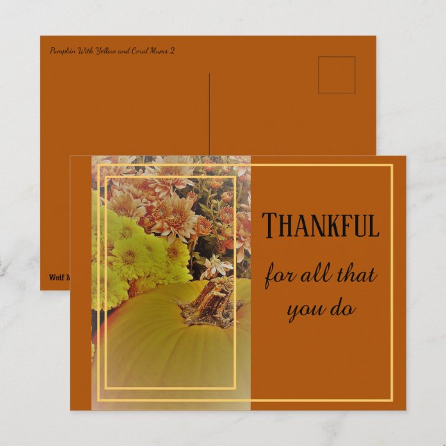 Cartão Postal Abóbora Com Crisântemos 2 / Agradecido (Frente/Verso)