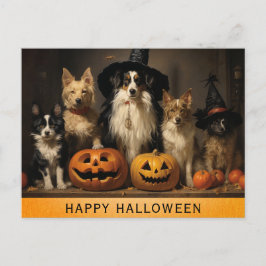 Cartão Postal Abóbora de bruxa de cachorro fofo de Halloween