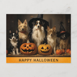 Cartão Postal Abóbora de Bruxa de Cachorro Fofo de Halloween