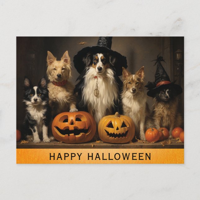 Cartão Postal Abóbora de bruxa de cachorro fofo de Halloween (Frente)