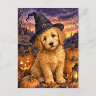 Cartão Postal Abóbora de Chapéu de Bruxa Goldendoodle
