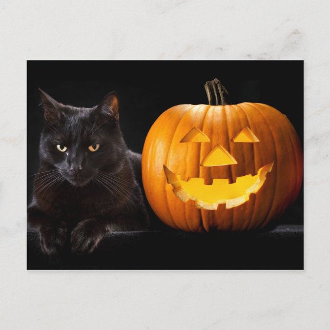 Cartão Postal Abóbora de Halloween e gato preto (Frente)
