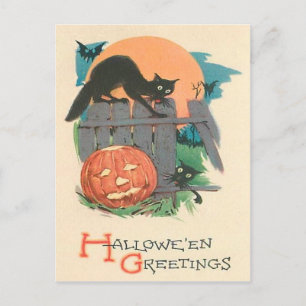 Cartão Postal Abóbora de Halloween Gato Preto Morcego Lua Cheia