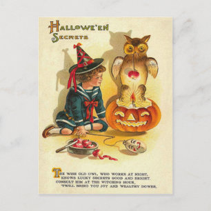 Cartão Postal Abóbora de Jack O Lanterna da Coruja Bruxa