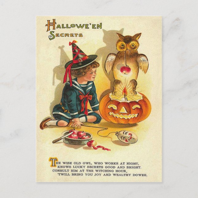 Cartão Postal Abóbora de Jack O Lanterna da Coruja Bruxa (Frente)
