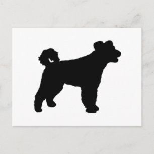 Cartão Postal abóbora de silo preto.png