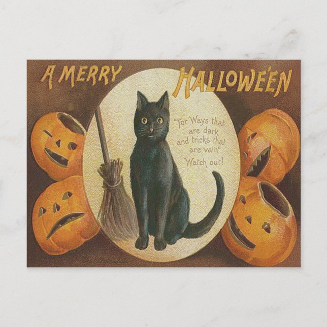 Cartão Postal Abóbora Jack O' Lantern Vassoura Gato Preto (Frente)