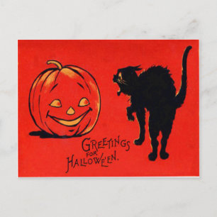 Cartão Postal Abóbora Lanterna do Jack Gato Preto