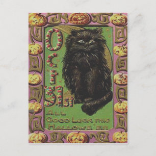 Cartão Postal Abóbora Lanterna Gato Preto