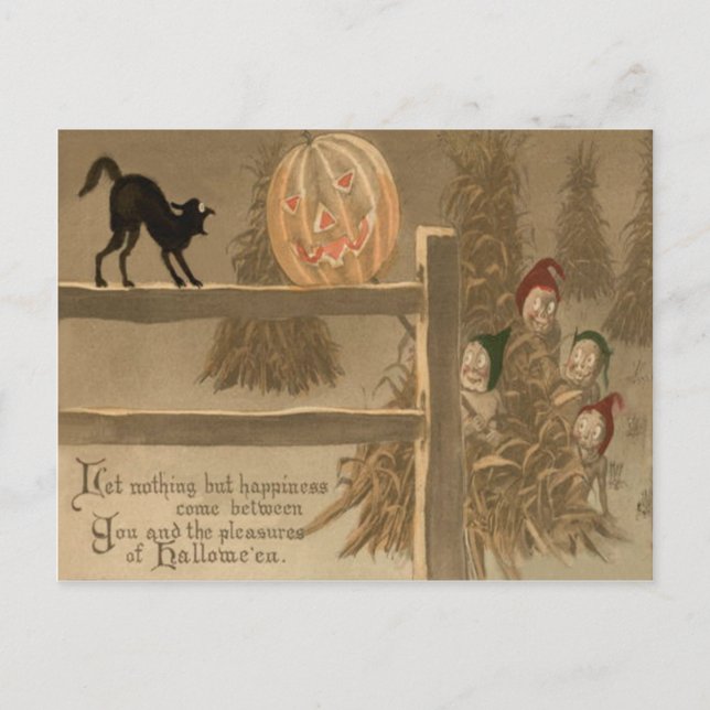 Cartão Postal Abóbora Lanterna Gato Preto Montão de Feno (Frente)