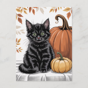 Cartão Postal Abóboras modernas da moda de Halloween e gato pret