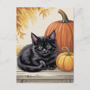 Cartão Postal Abóboras modernas e gato preto de Halloween