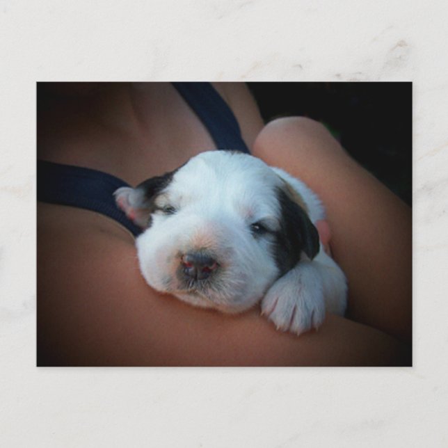 Cartão Postal Abraço Carinhoso (Frente)