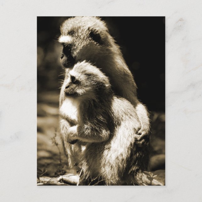 Cartão Postal Abraços (Frente)