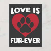 Abrigo Para O Bem-Estar Dos Animais Adorava Cão De