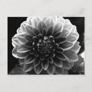 Cartão Postal Abrindo Todas As Camadas