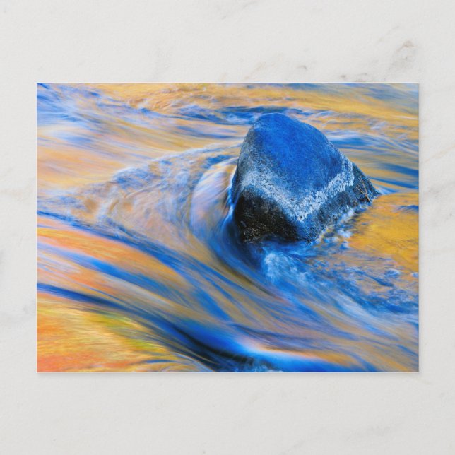 Cartão Postal Abstrato de água colorida do outono (Frente)